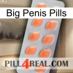 Big Penis Pills 26